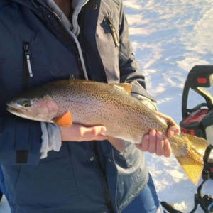 Meet your Posher, Thatone